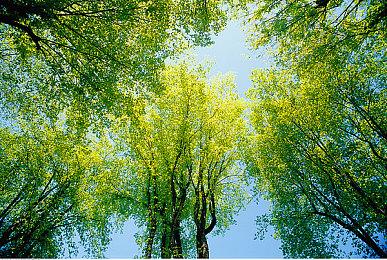 《无人深空》发布Switch版预告 2022年夏季发售